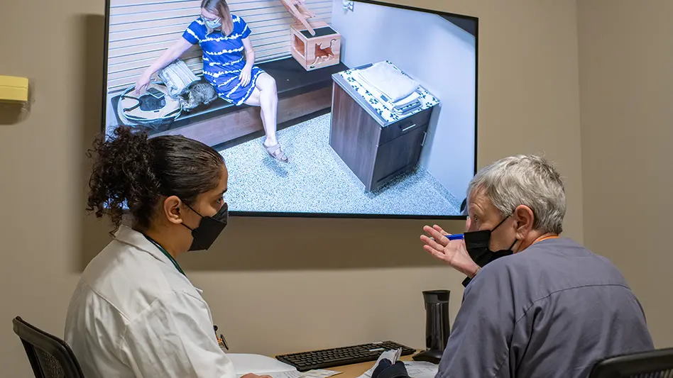 two vets looking at video monitor